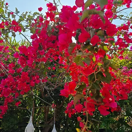 شقة Relax Sunlight *