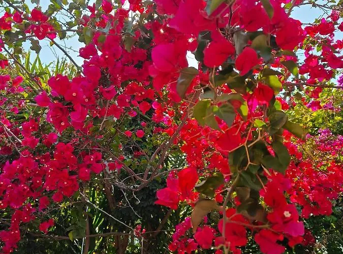 Apartman Relax Sunlight *